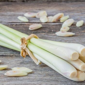 Lemongrass macinato